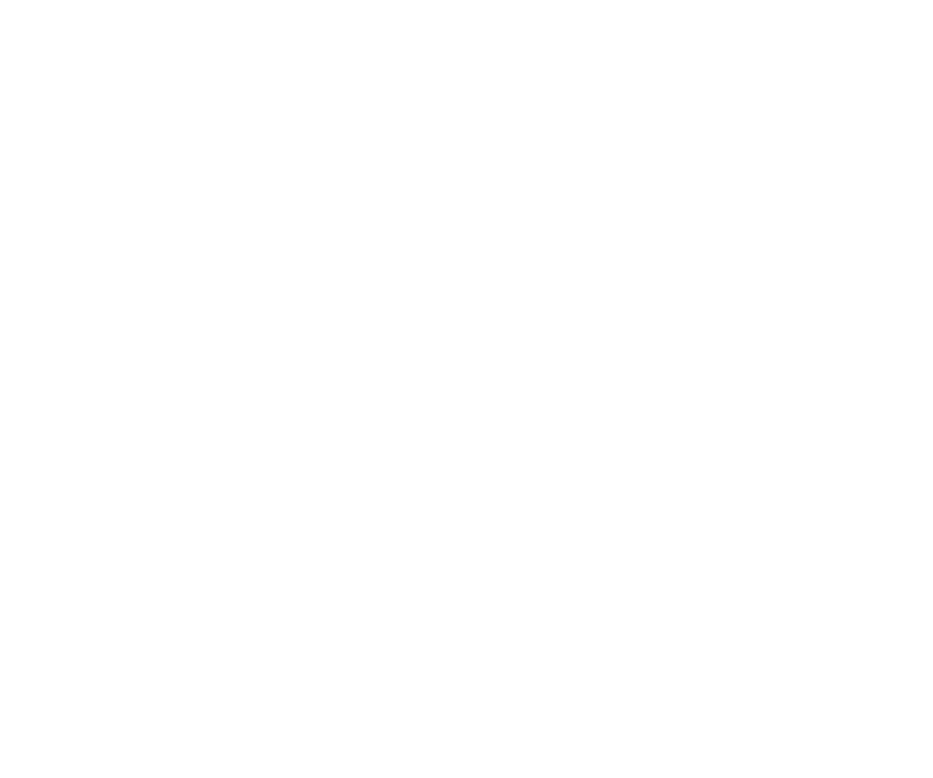 The Hip Hop Democrat